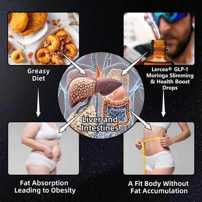 [See results in 7 days]🧑‍⚕️𝐋𝐞𝐫𝐜𝐞𝐚® 𝐆𝐋𝐏-𝟏 𝐌𝐨𝐫𝐢𝐧𝐠𝐚 𝐒𝐥𝐢𝐦𝐦𝐢𝐧𝐠 & 𝐇𝐞𝐚𝐥𝐭𝐡 𝐁𝐨𝐨𝐬𝐭 𝐃𝐫𝐨𝐩𝐬 (𝐅𝐨𝐨𝐝-𝐠𝐫𝐚𝐝𝐞 𝐅𝐚𝐭 𝐁𝐮𝐫𝐧𝐞𝐫)🦁